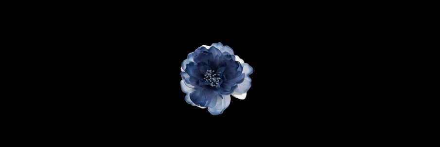 ⋆.ೃ࿔*:･ AISLING . banner