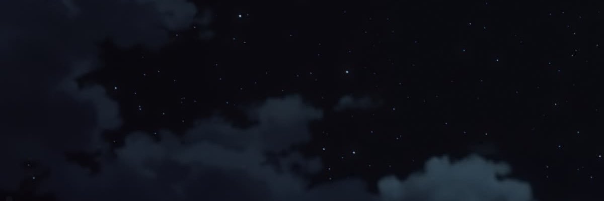 zSukji's profile banner image