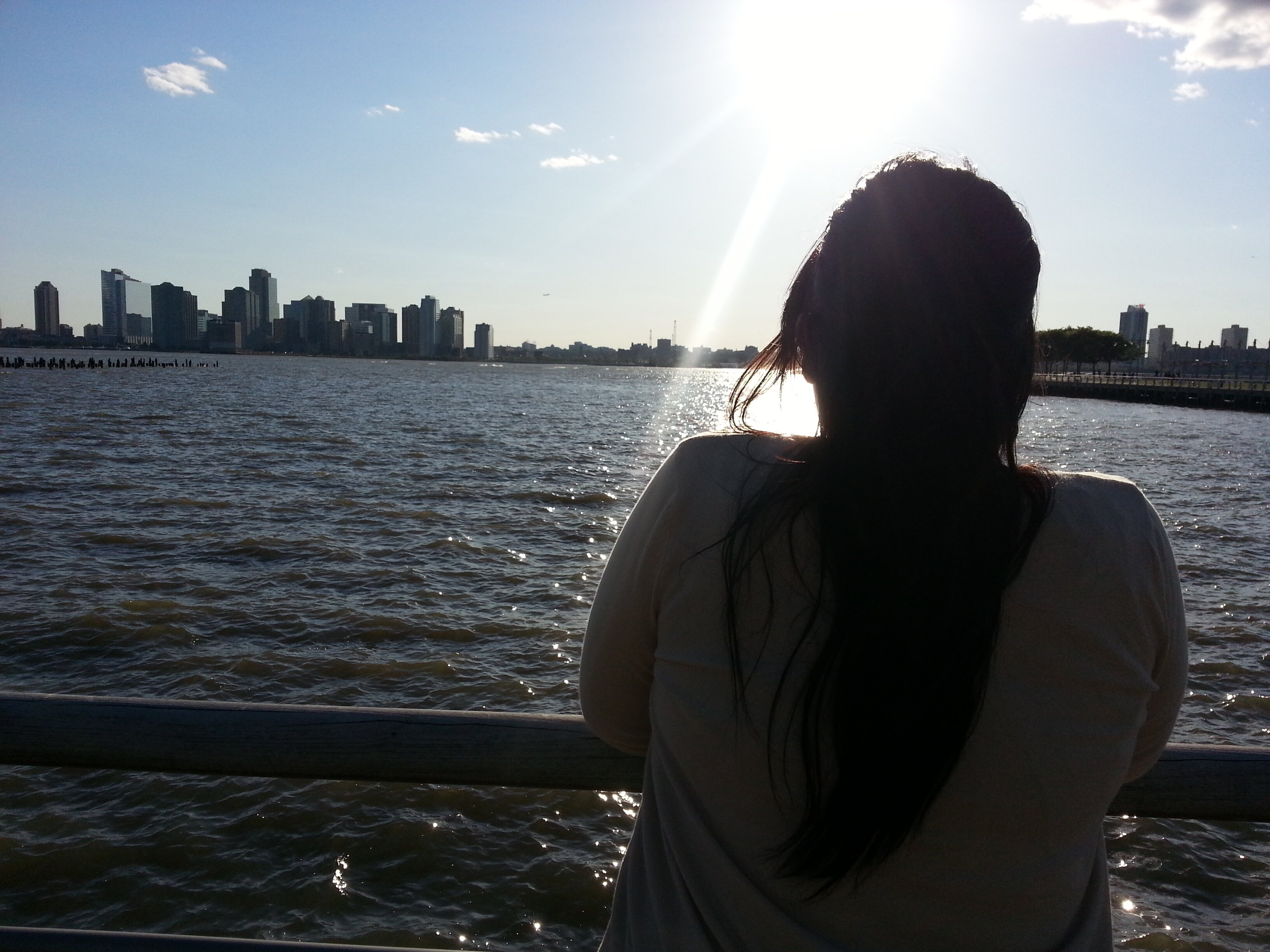 SarahFVazquez's profile banner image