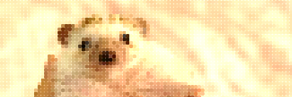 sledgehammersan's profile banner image