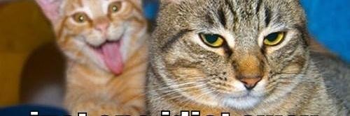 ptlachance's profile banner image