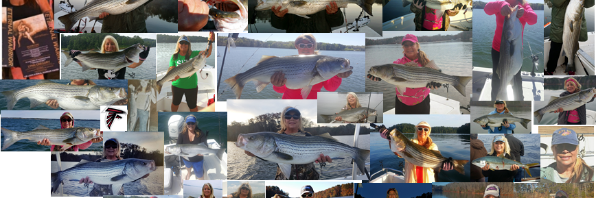 mslynng's profile banner image