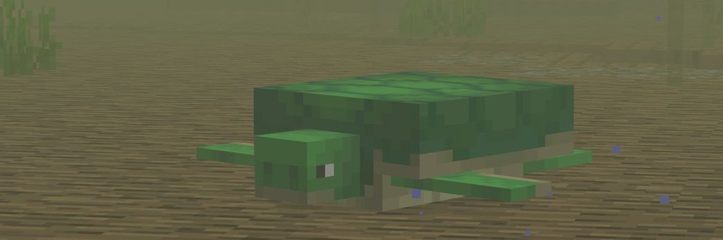 turtlecoded's profile banner image