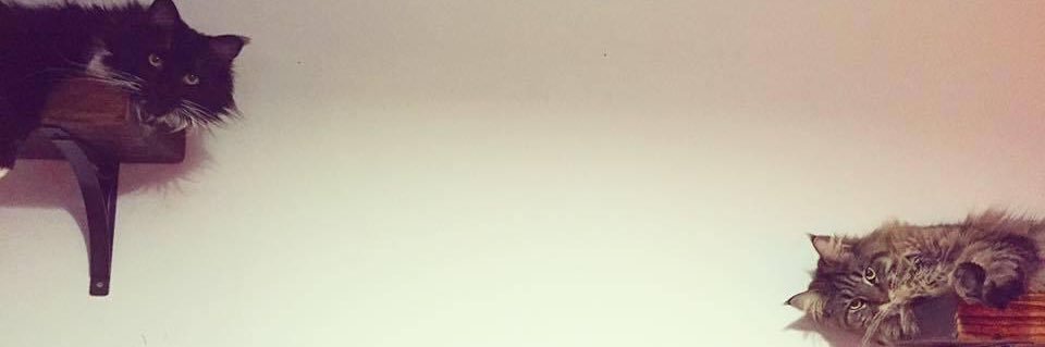 Claire Travers Smith (she/her) banner