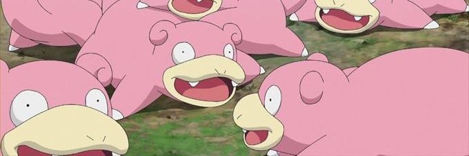 呆呆大统领 banner