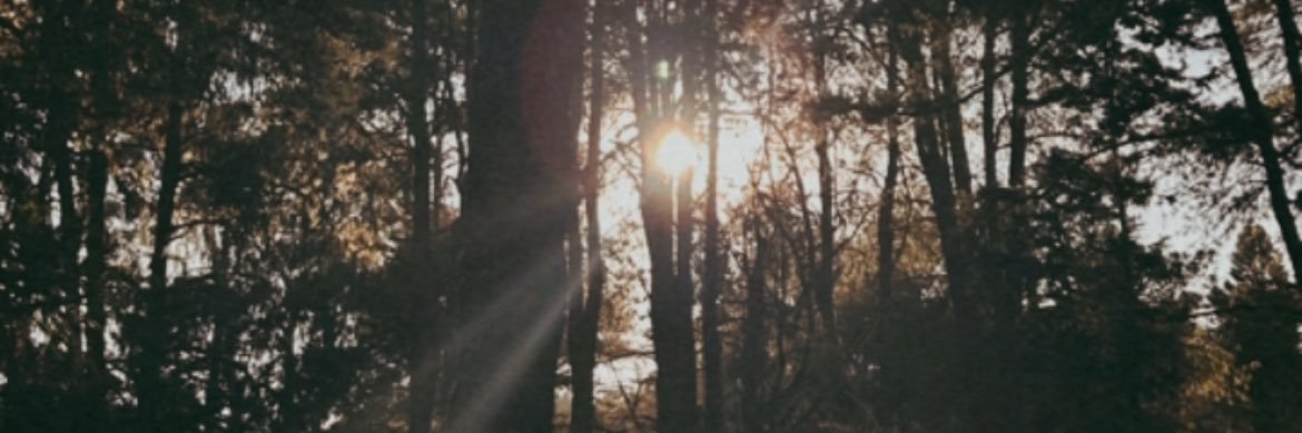 fckinfabb's profile banner image