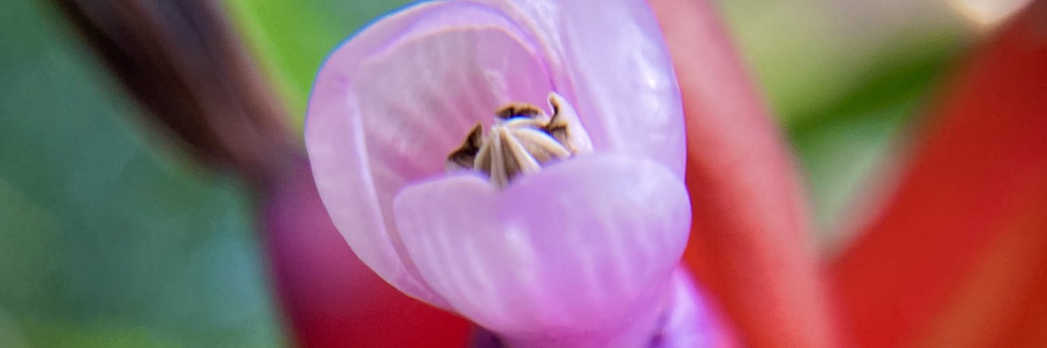 digiduchess's profile banner image