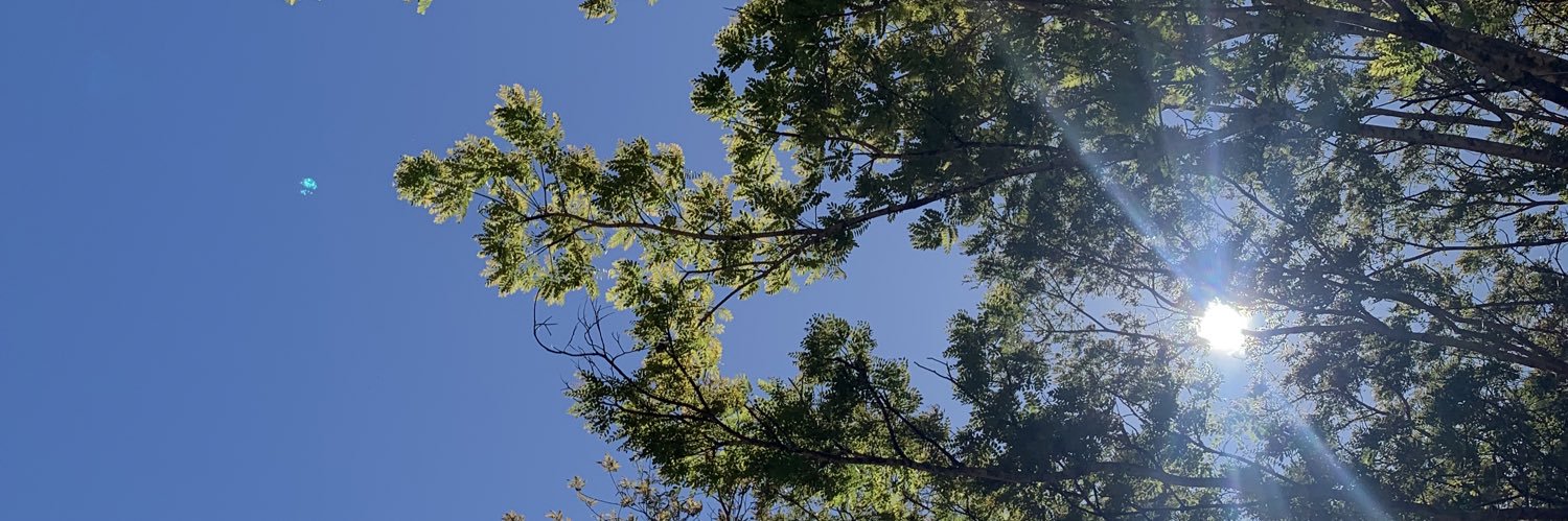Clapedersoli's profile banner image