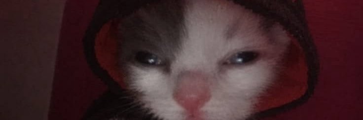 BriRoz_'s profile banner image