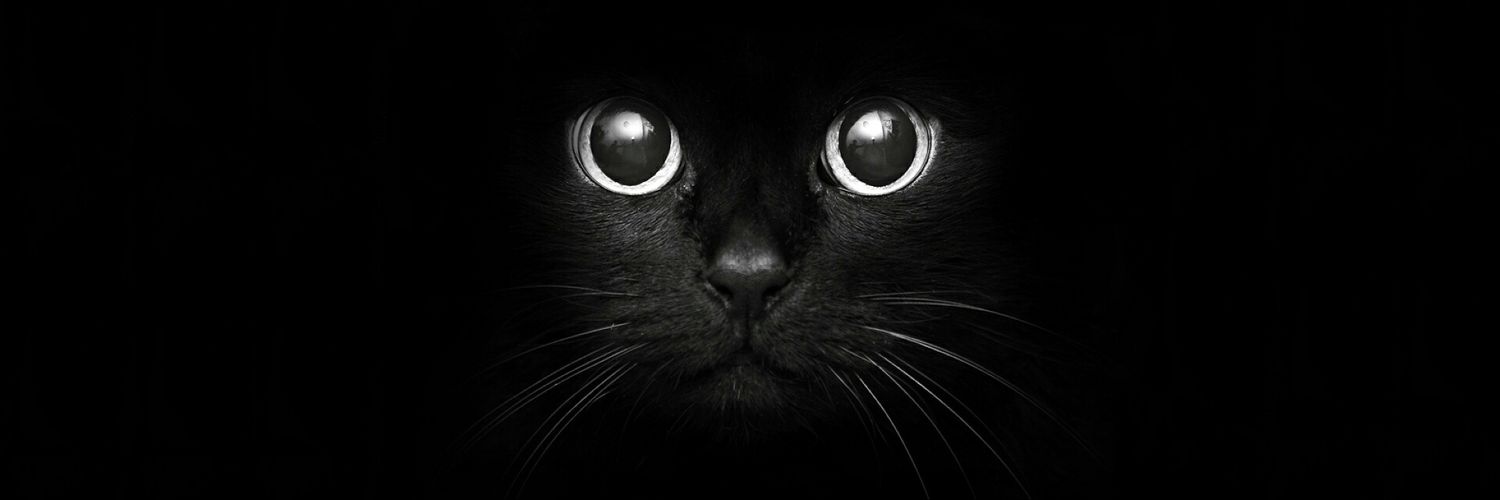 mierulfaaiz's profile banner image