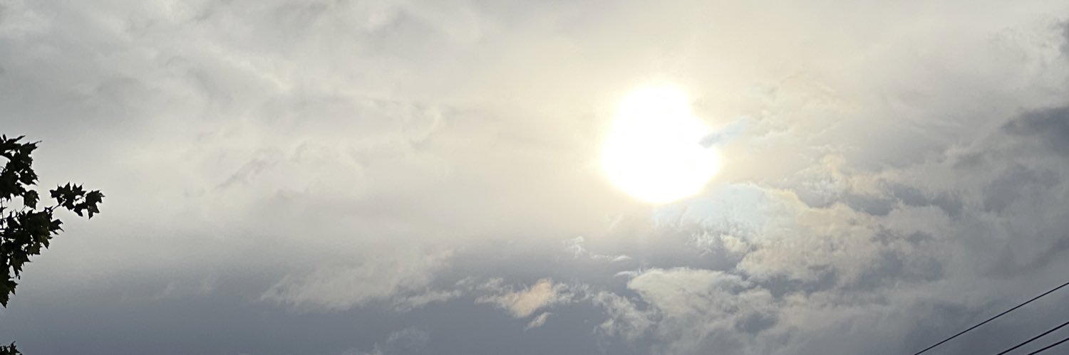 edwidgemillien's profile banner image