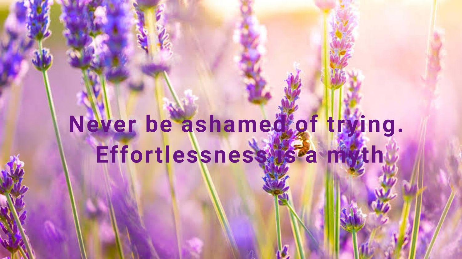 seraphina, rpm'26 banner