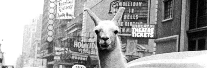 NatiiMoreta's profile banner image