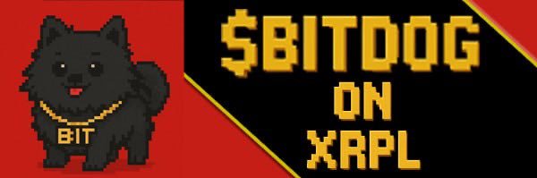BitDog's banner