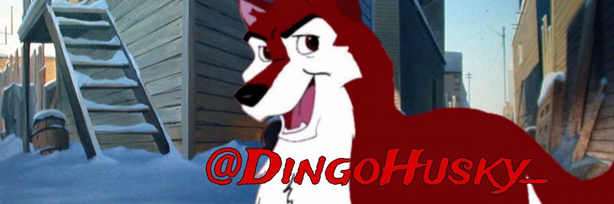 DingoHusky_'s profile banner image