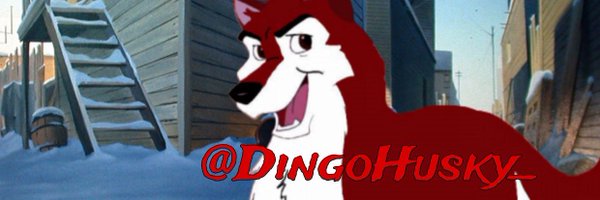 DingoHusky_ Profile Banner