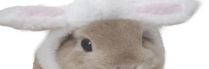 lottnilla's profile banner image