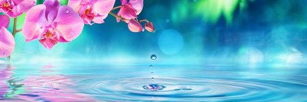 EdithPaul17's profile banner image
