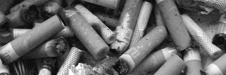 ✶ ˙ 𝙑𝘪𝘤 ❜ // 𝙎𝘩𝘦𝘥𝘵𝘸𝘵 banner