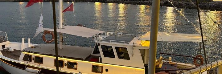 ALINYaar's profile banner image