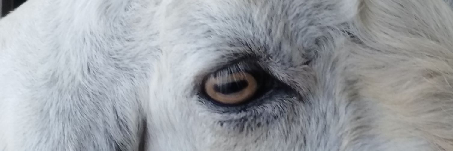 dummmy36's profile banner image