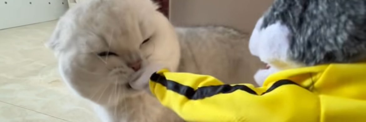 でも俺のメンタル最強じゃん！ banner