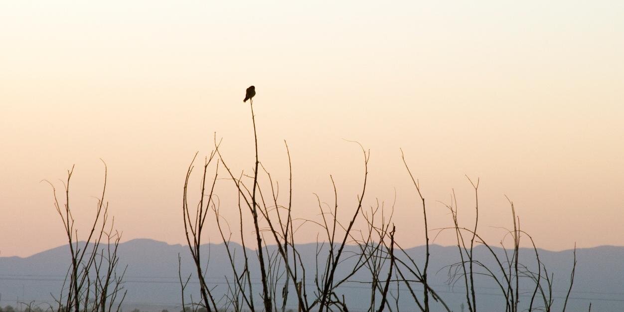 talkwalkdrive's profile banner image