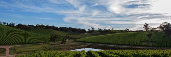 Craigo_G Profile Banner