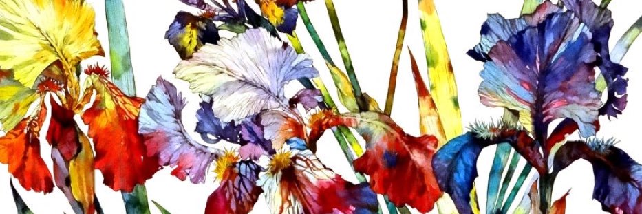 thefreckledmama's profile banner image