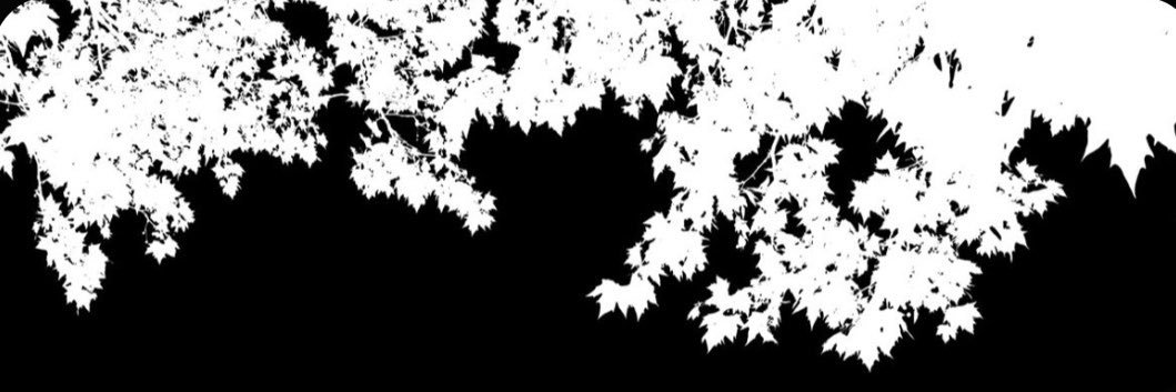 pwq67's profile banner image