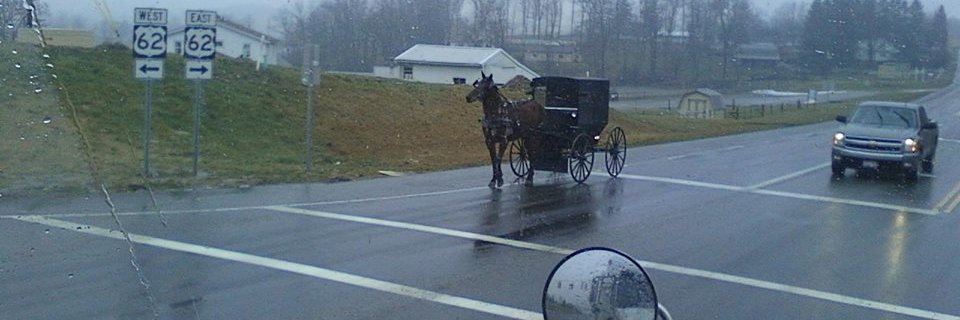 Steve Maroulis banner