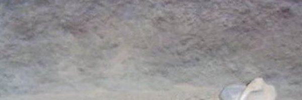 pikpikrice Profile Banner