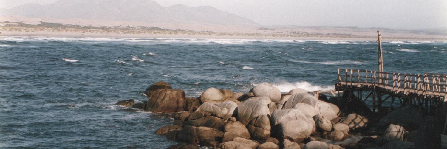 mortonpaty's profile banner image