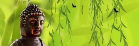 majoraditi's profile banner image