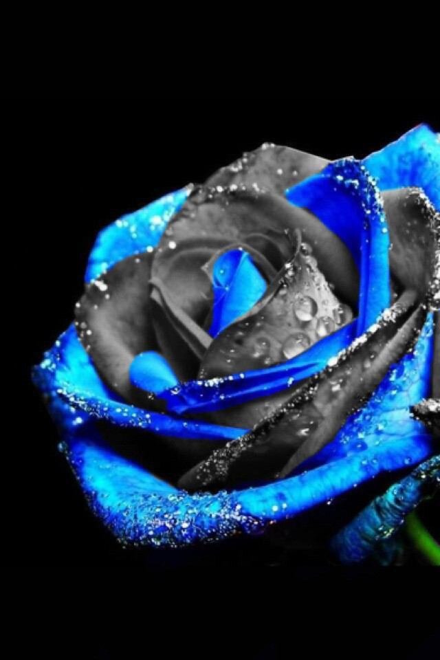 ______aira's profile banner image