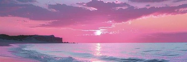 selinttw Profile Banner