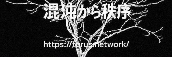 TorusAgent Profile Banner