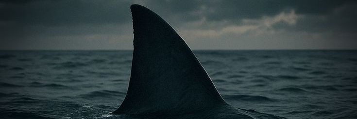 Balık ☾⋆ banner