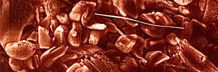 thatonekidd111's profile banner image
