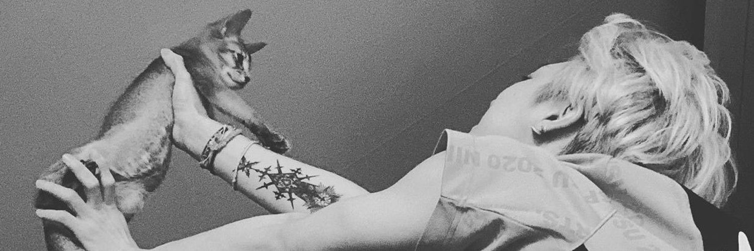 🔥BeTEN’☮️🔥 banner