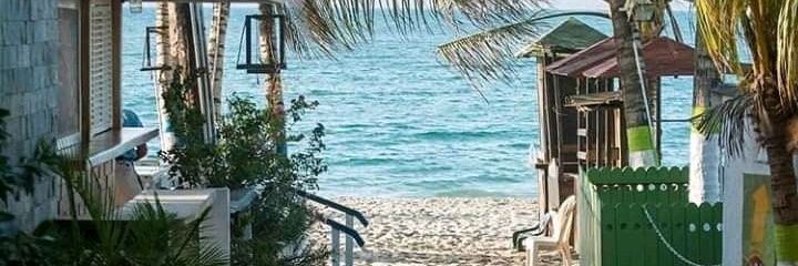 Carlaprensa1's profile banner image
