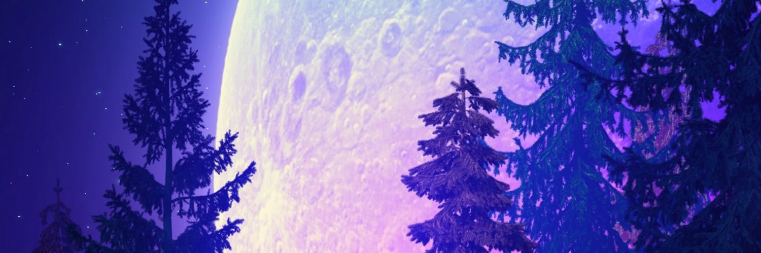 SarBeaR0584's profile banner image