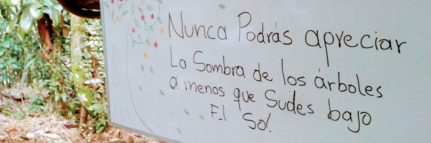 juancarcas2's profile banner image