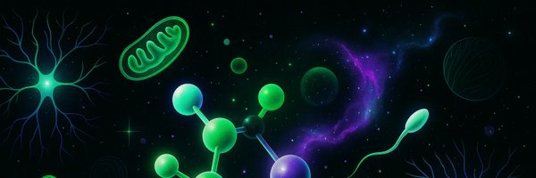 spermidinecoin Profile Banner