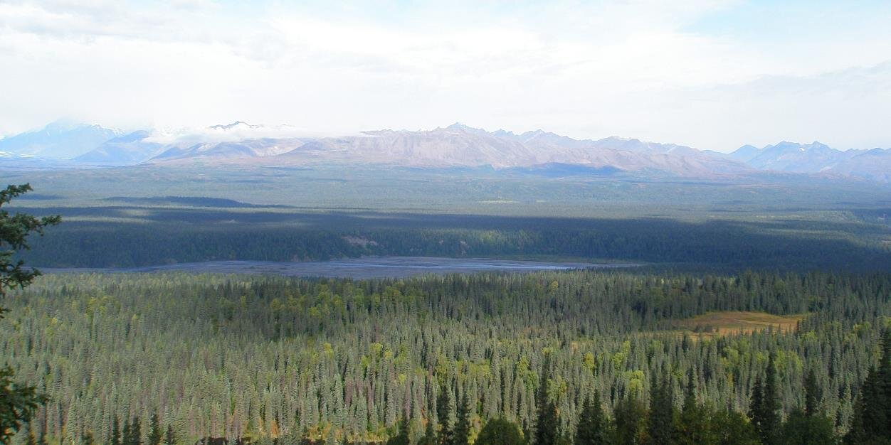 Dr Tanja Križaj 🇸🇮 banner