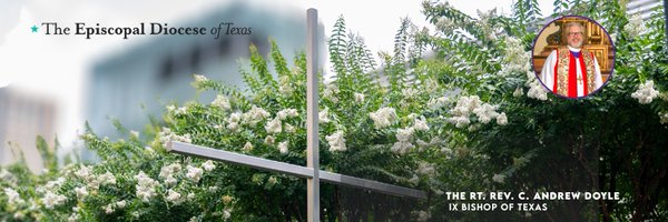 TexasDiocese Profile Banner