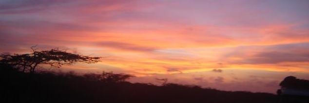 Alejandro Obregon banner