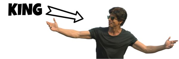 Velocity_Raisen Profile Banner