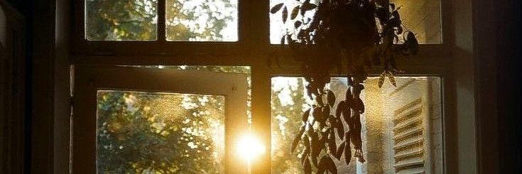 𝐉𝐀𝐍𝐍𝐄𝐓𝐀 banner