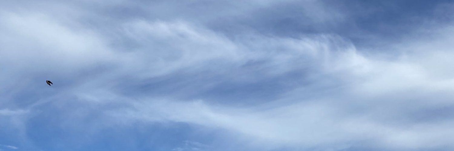 errederani's profile banner image